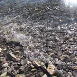 Oda ve Kahvaltı Europa Starigrad Paklenica
