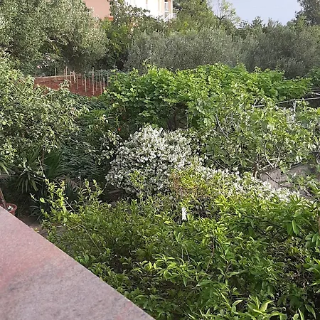 Bed & Breakfast Europa Starigrad Paklenica